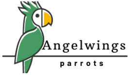 angelwingsparrots.com